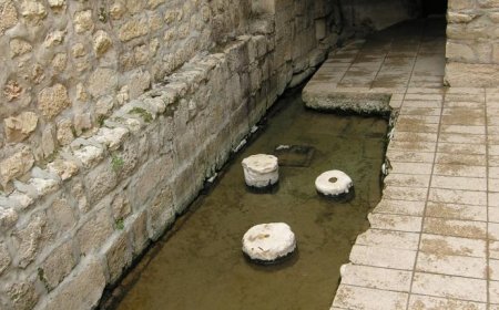 LA PISCINA DI SILOE