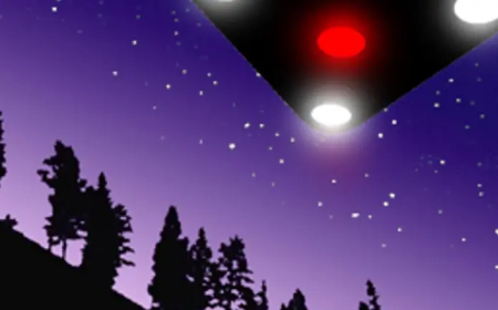 UFO - Germania nel 1980