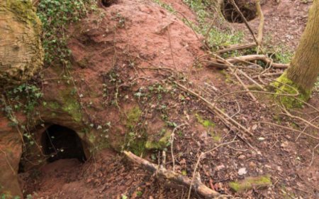 Tana di conigli porta a una rete di tunnel di 700 anni collegata ai Cavalieri Templari