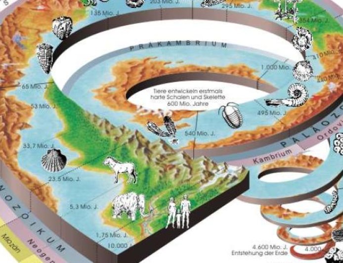 Storia del termine: fossili