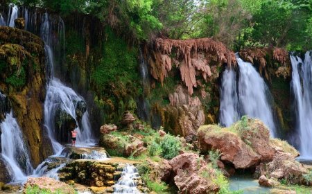 Negli Stati Uniti, questa gemma nascosta in Arizona è una cascata di travertino conosciuta come Little Navajo Falls, caratterizzata da due cascate gemelle, pozze naturali color turchese lattiginoso e una vegetazione rigogliosa con felci pendenti