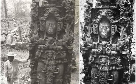 Scoperta di un'antica statua Maya nelle profondità della giungla dell'Honduras, 1885