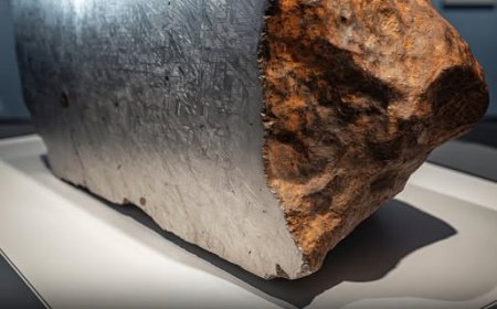 Nell'antico sito Mogollon di Casas Grandes, nel Messico settentrionale, gli archeologi hanno fatto una scoperta straordinaria: un enorme meteorite ferroso del peso di 2.300 chilogrammi (oltre 5.000 libbre)